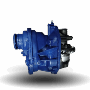 Head Middle