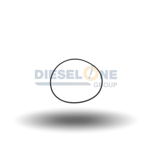 2349746 - O-RING, LINER - DT