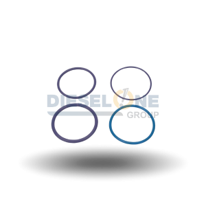 276948 - O-RING KIT - DT