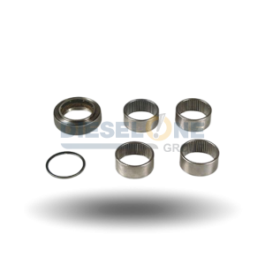 9423300219 - REPAIR KIT KING PIN STD D=54.00MM - SAMPA