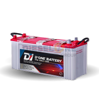 BATTERY D1 DC N120